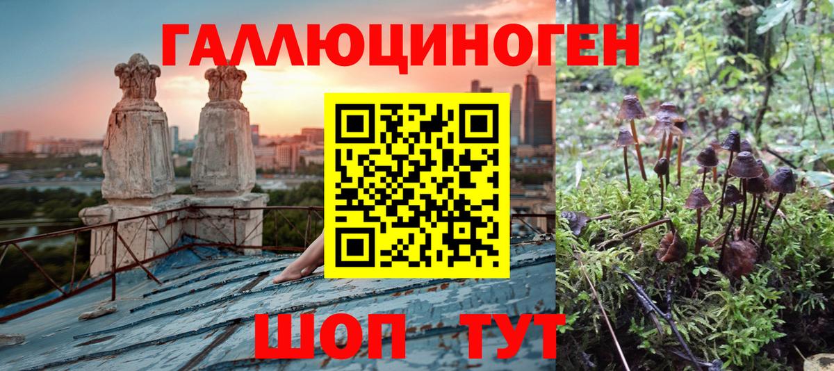 Псилоцибиновые грибы ЛСД Великий Устюг